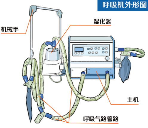 呼吸机外形图